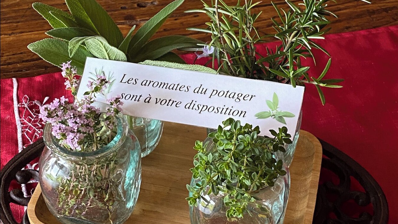 Photo of Others in Andressac