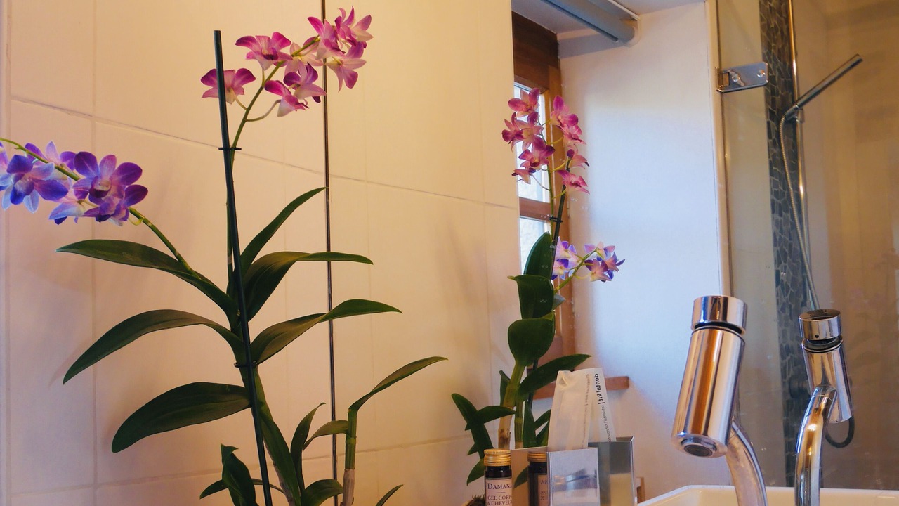 Photo of Bathroom in Andressac