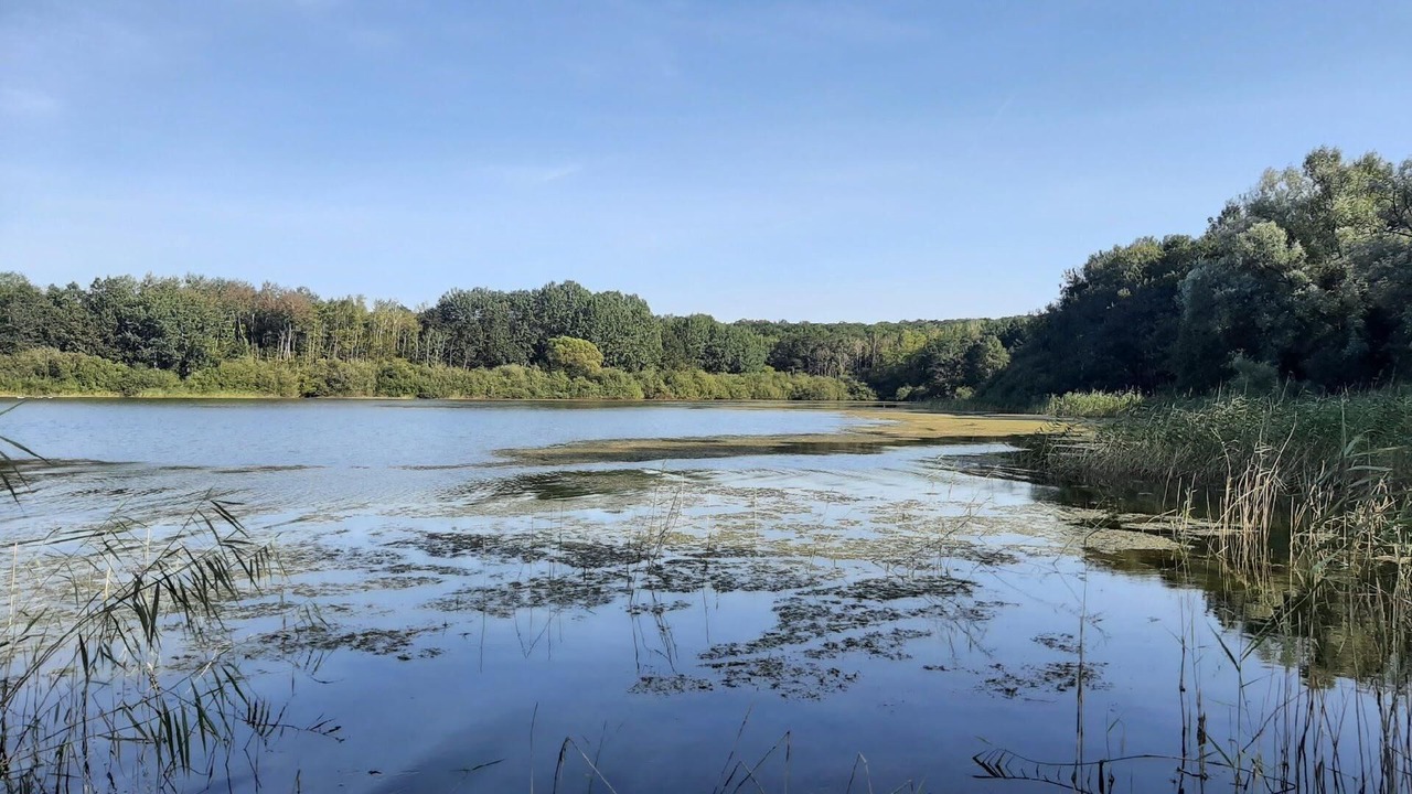 Photo of Others in Droyes