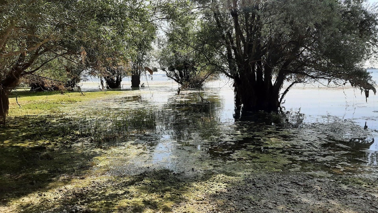 Photo of Others in Droyes