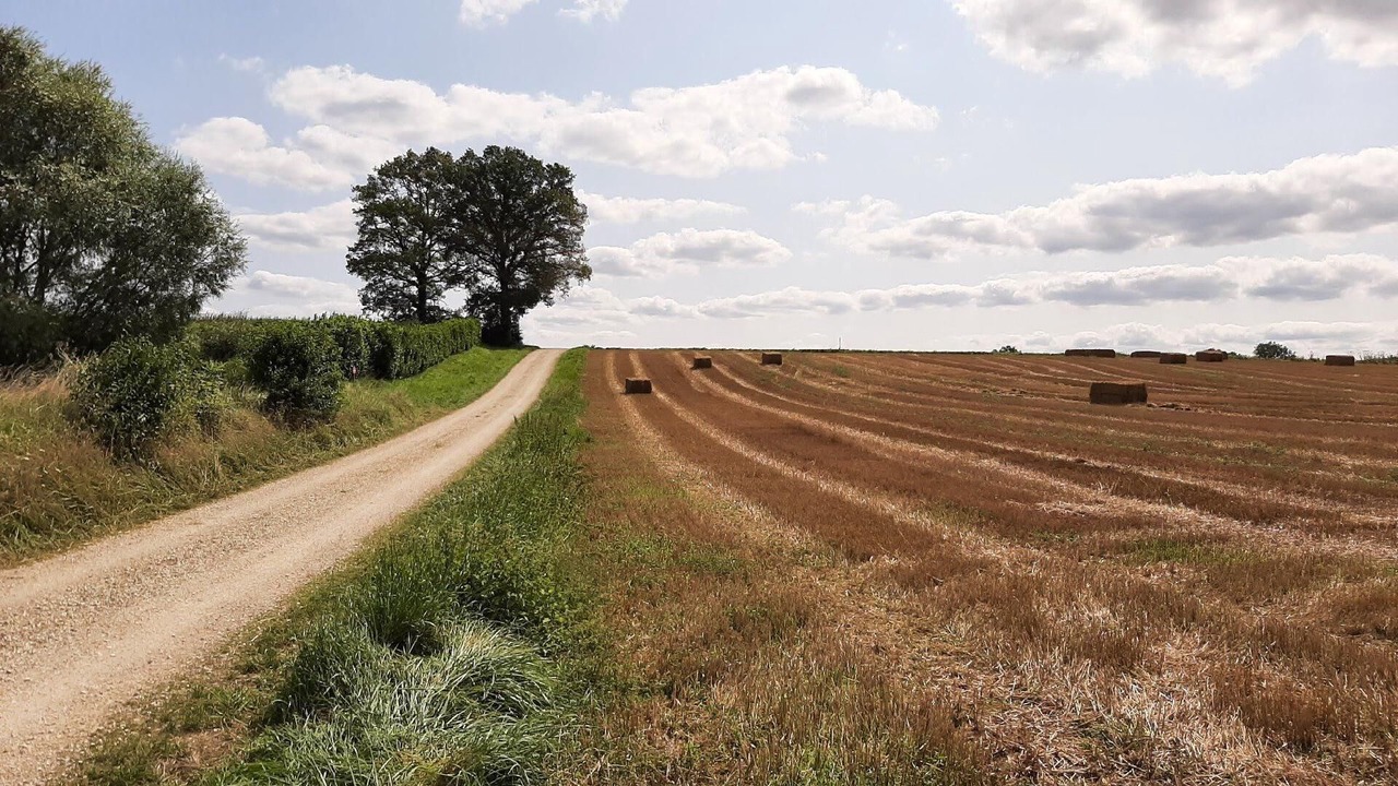 Photo of Others in Droyes