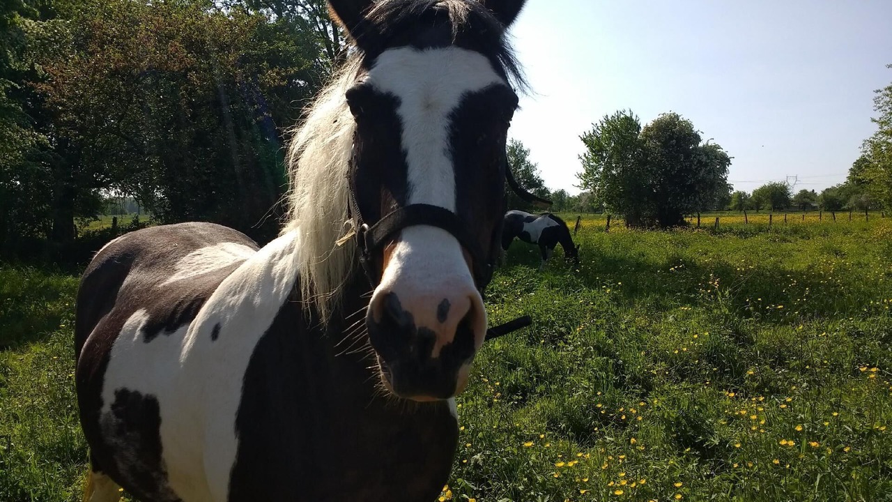 Photo of Others in Droyes