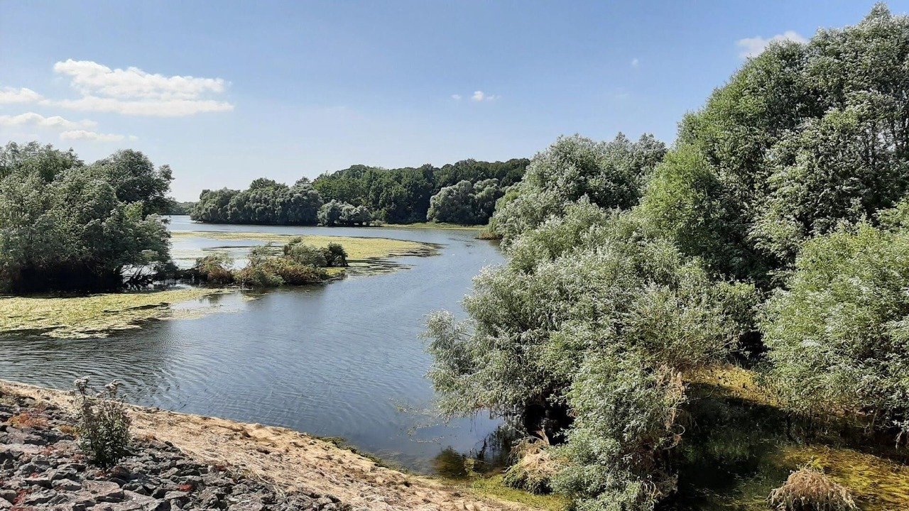 Photo of Others in Droyes