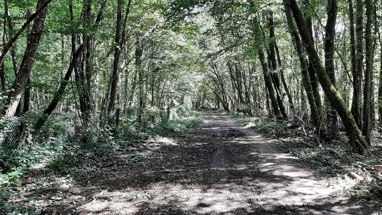 Photo of Others in Droyes