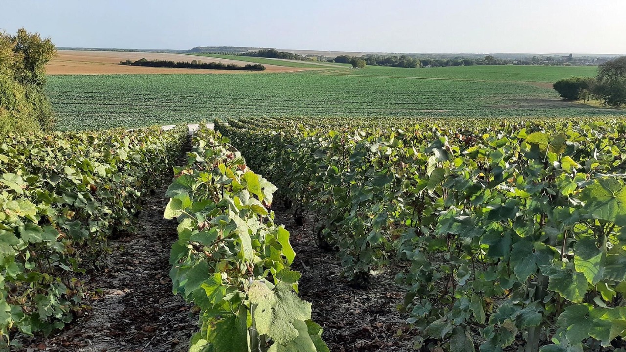 Photo of Others in Droyes