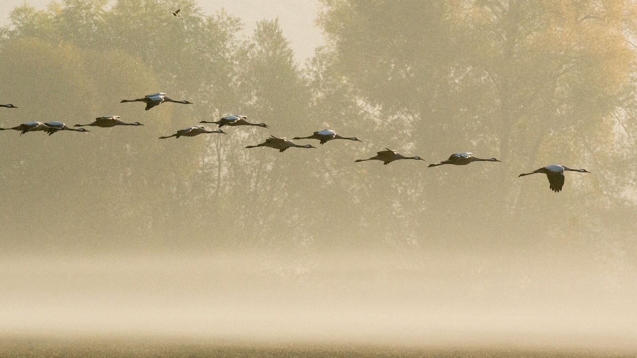 Photo of Others in Droyes