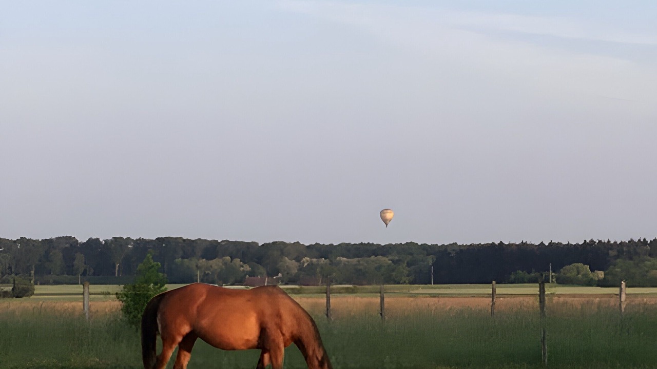 Photo of Others in Huisseau-sur-Cosson