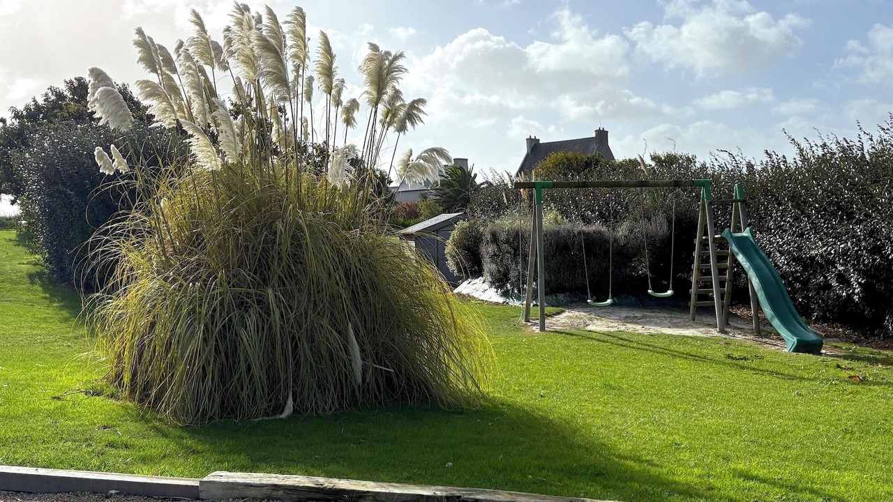 Photo of Others in Sibiril