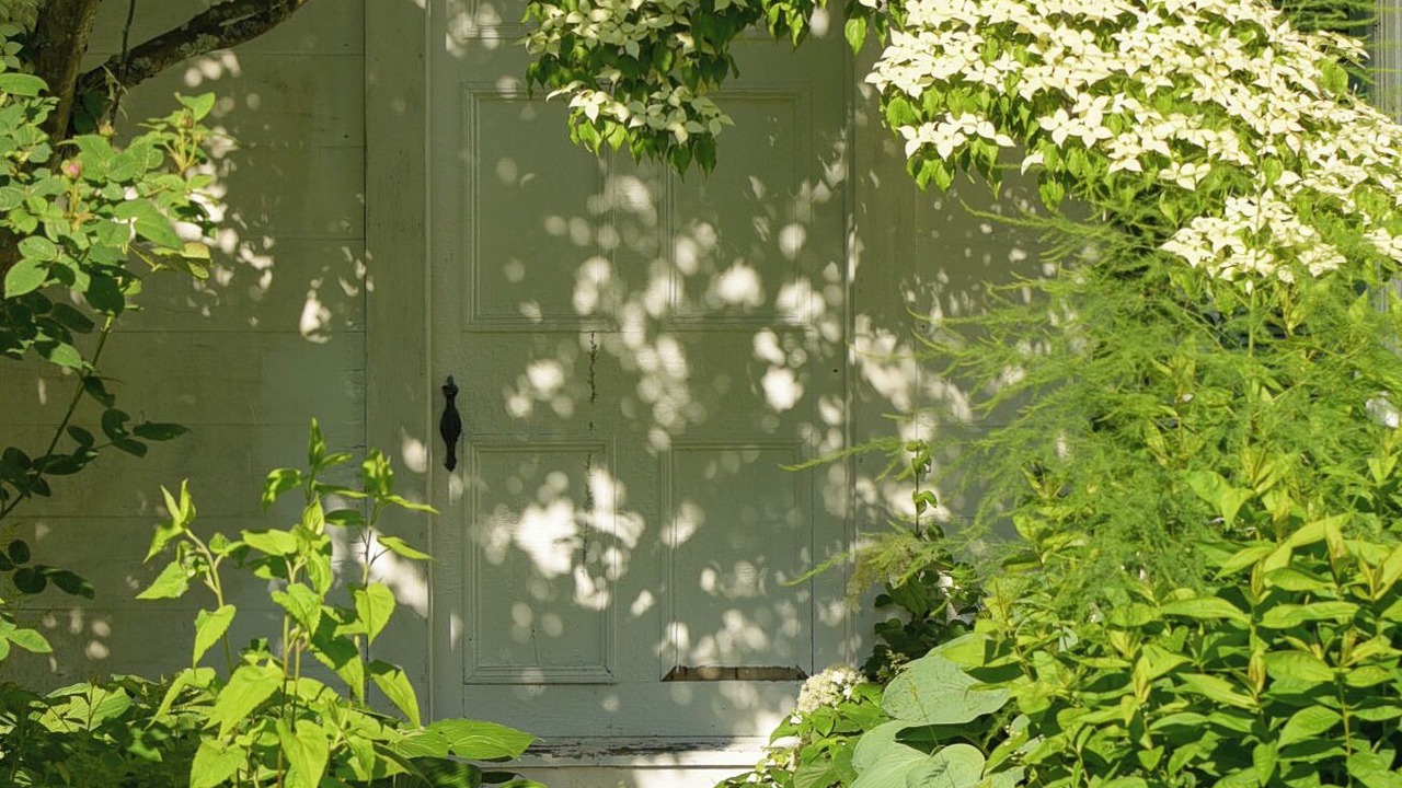 Photo of Outdoor in Waldoboro