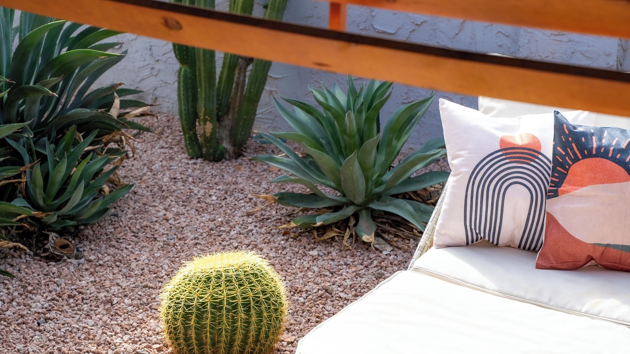 Photo of Outdoor in Camelback East
