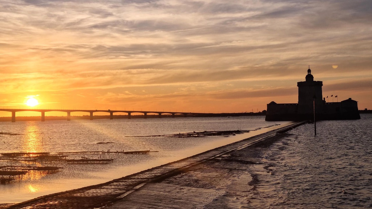 Photo of Others in Dompierre-sur-Charente
