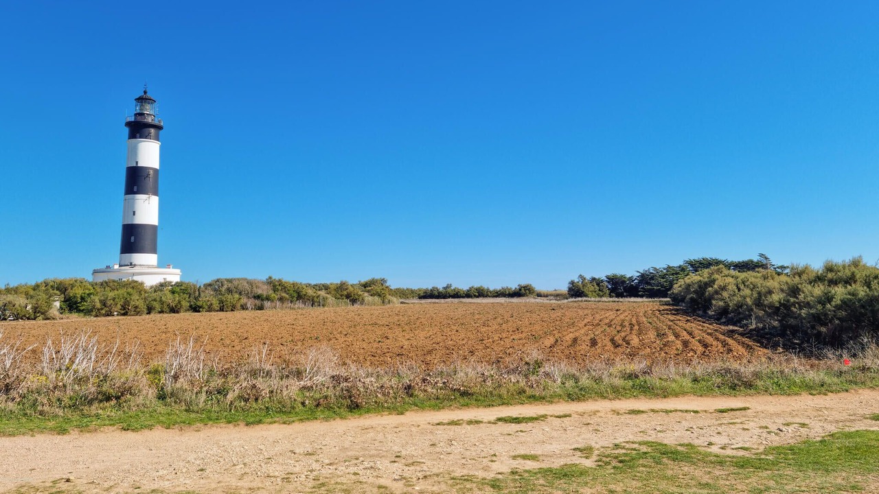 Photo of Others in Dompierre-sur-Charente