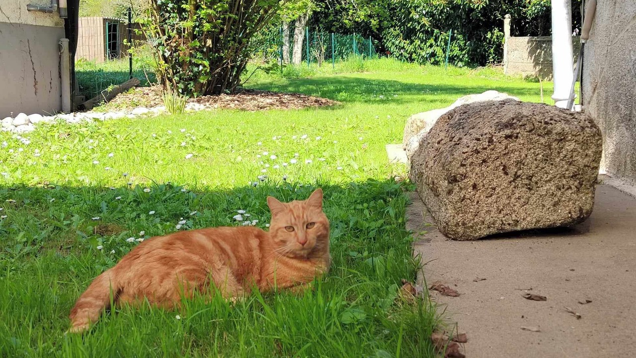 Photo of Outdoor in Mouchamps