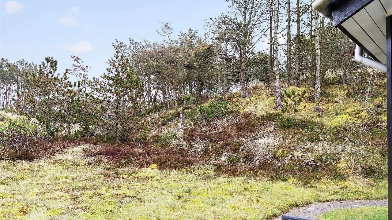 Photo of Outdoor in Sønder Vorupør