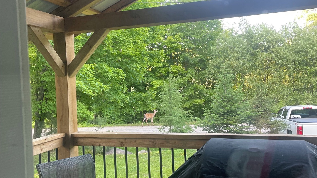 Photo of Outdoor in McMurrich/Monteith