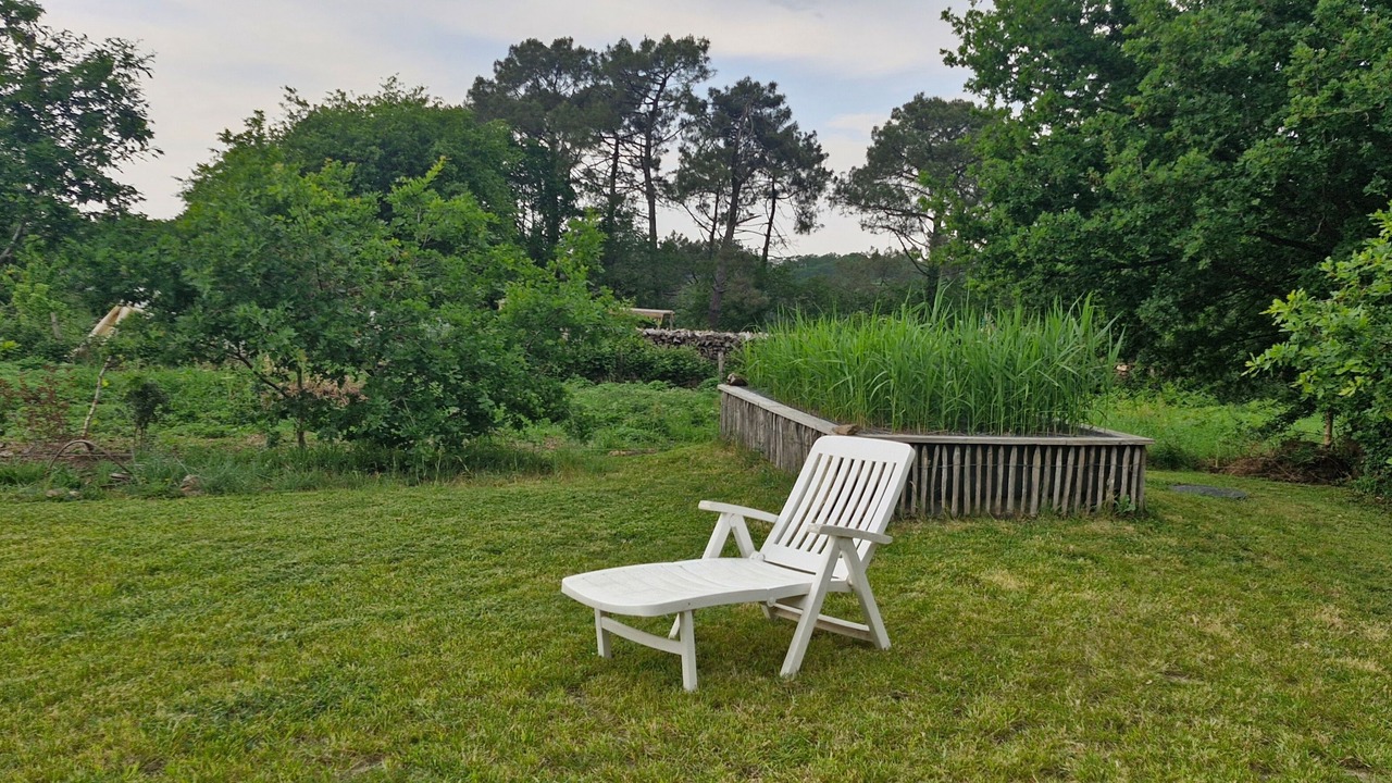 Photo of Outdoor in Ferel