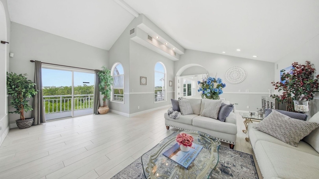 Photo of Livingroom in Palm Harbor