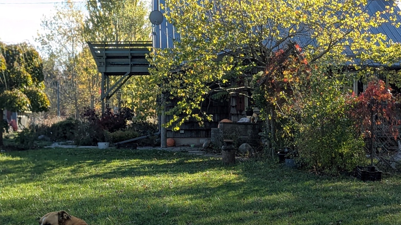 Photo of Outdoor in Fort Erie