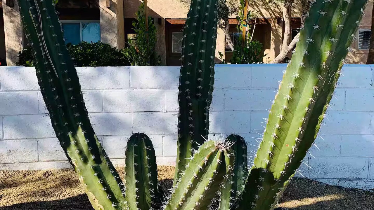 Photo of Outdoor in Desert Hot Springs