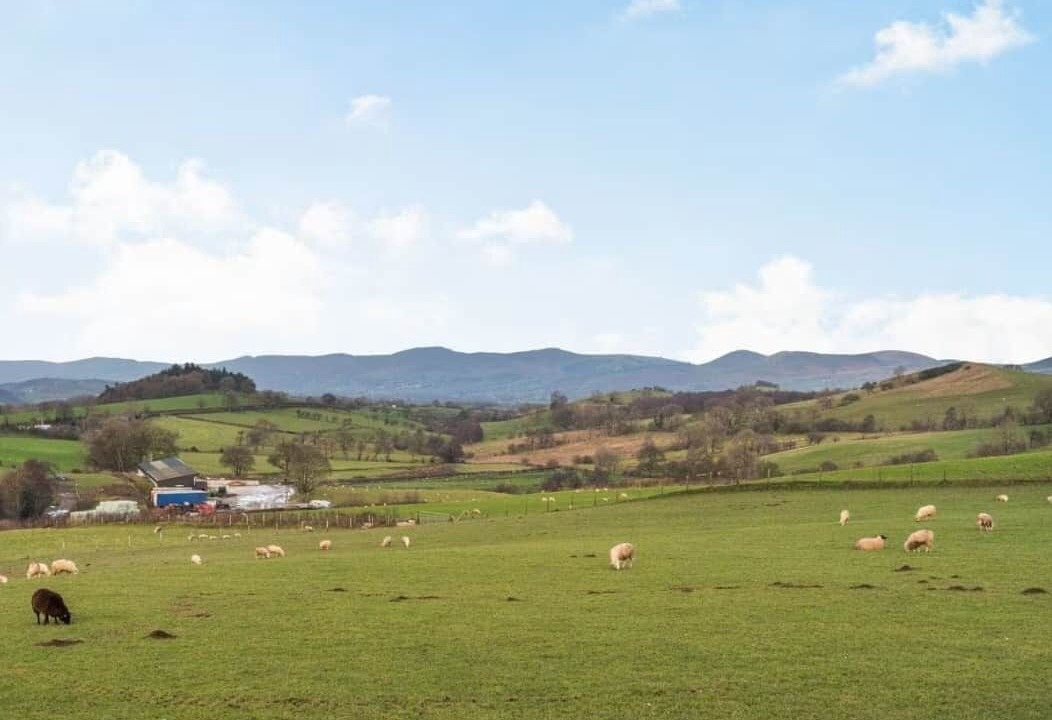 Photo of Others in Llanelidan