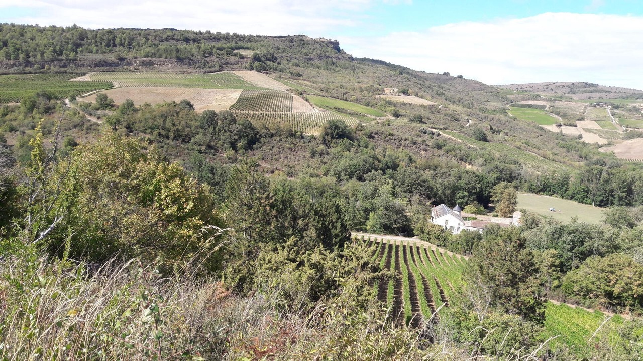 Photo of Others in Bouriege