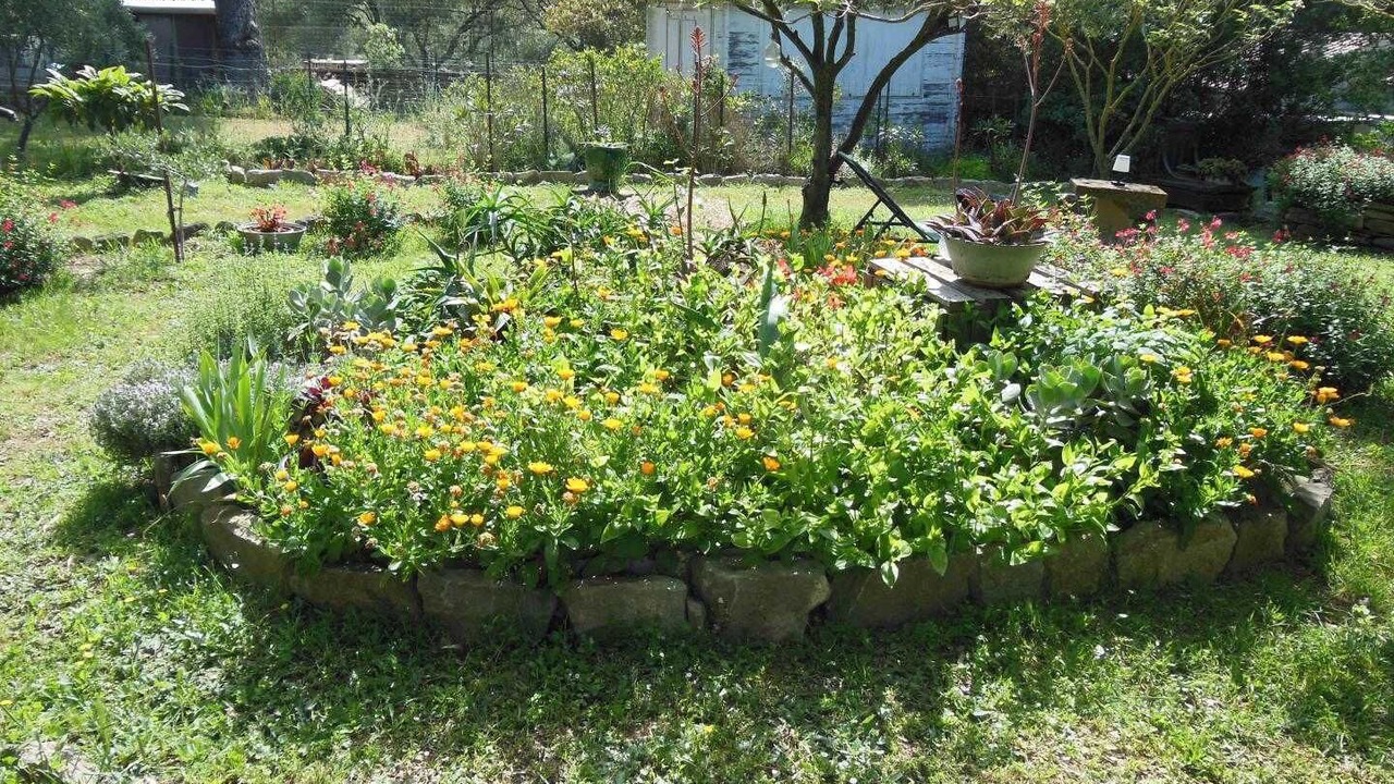 Photo of Outdoor in Laure-Minervois