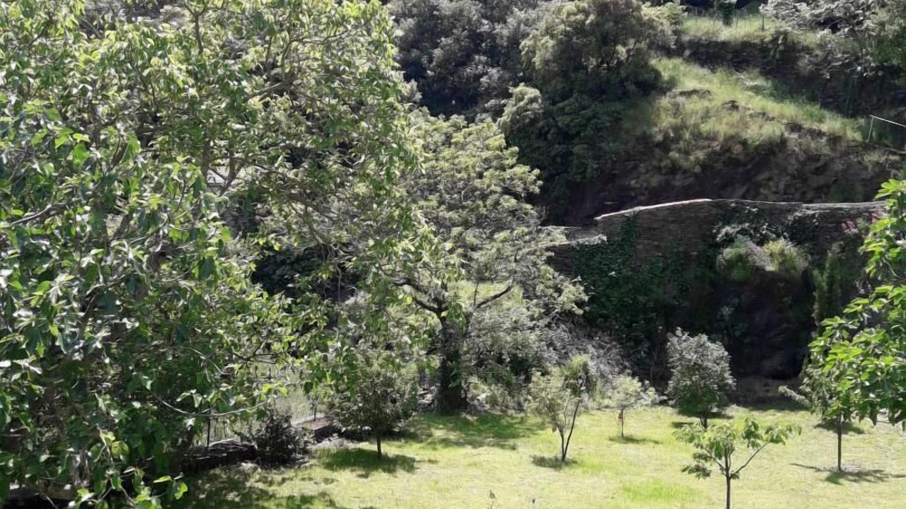 Photo of Outdoor in Mas-Cabardes