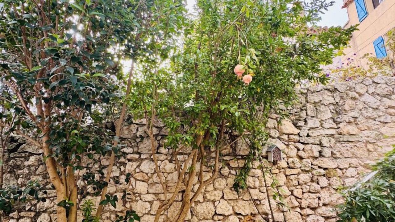 Photo of Outdoor in Bages