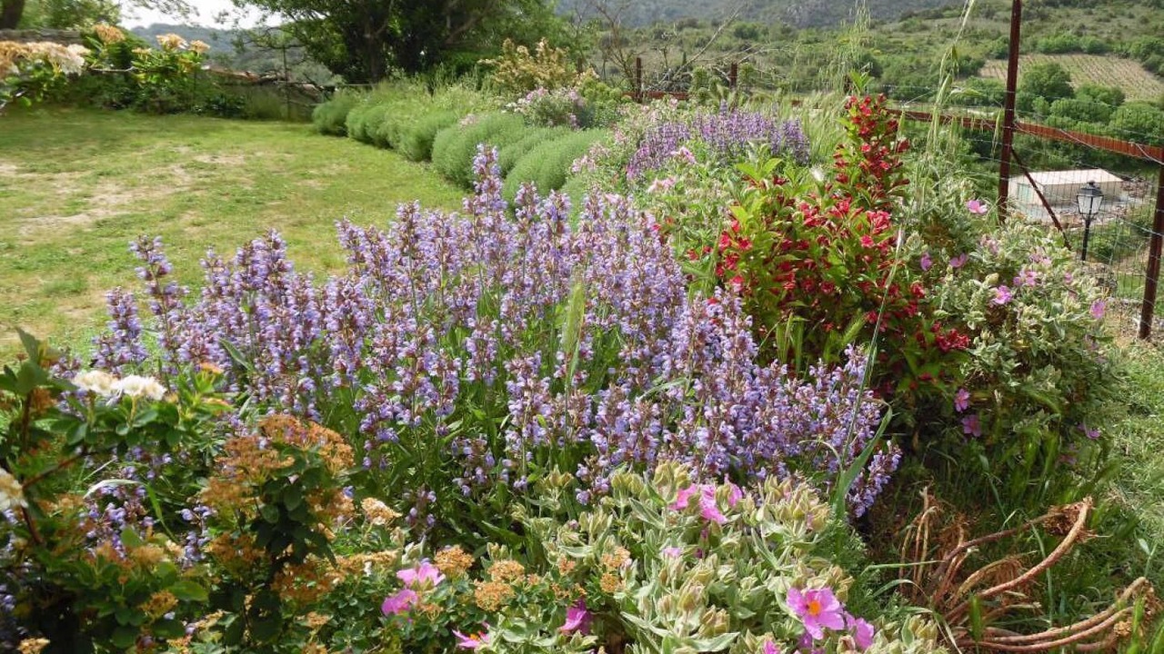 Photo of Outdoor in Montgaillard