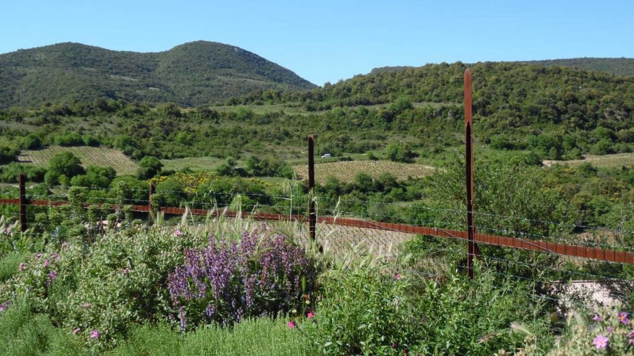 Photo of Others in Montgaillard