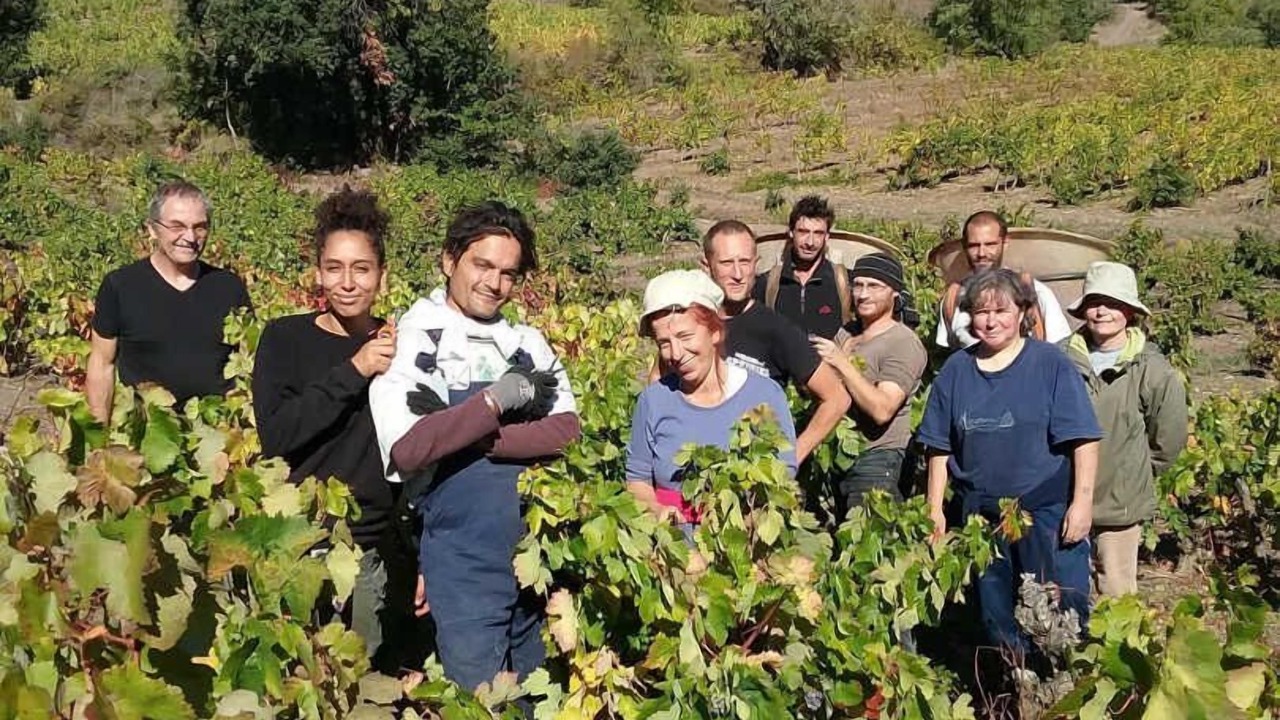 Photo of Others in Montgaillard