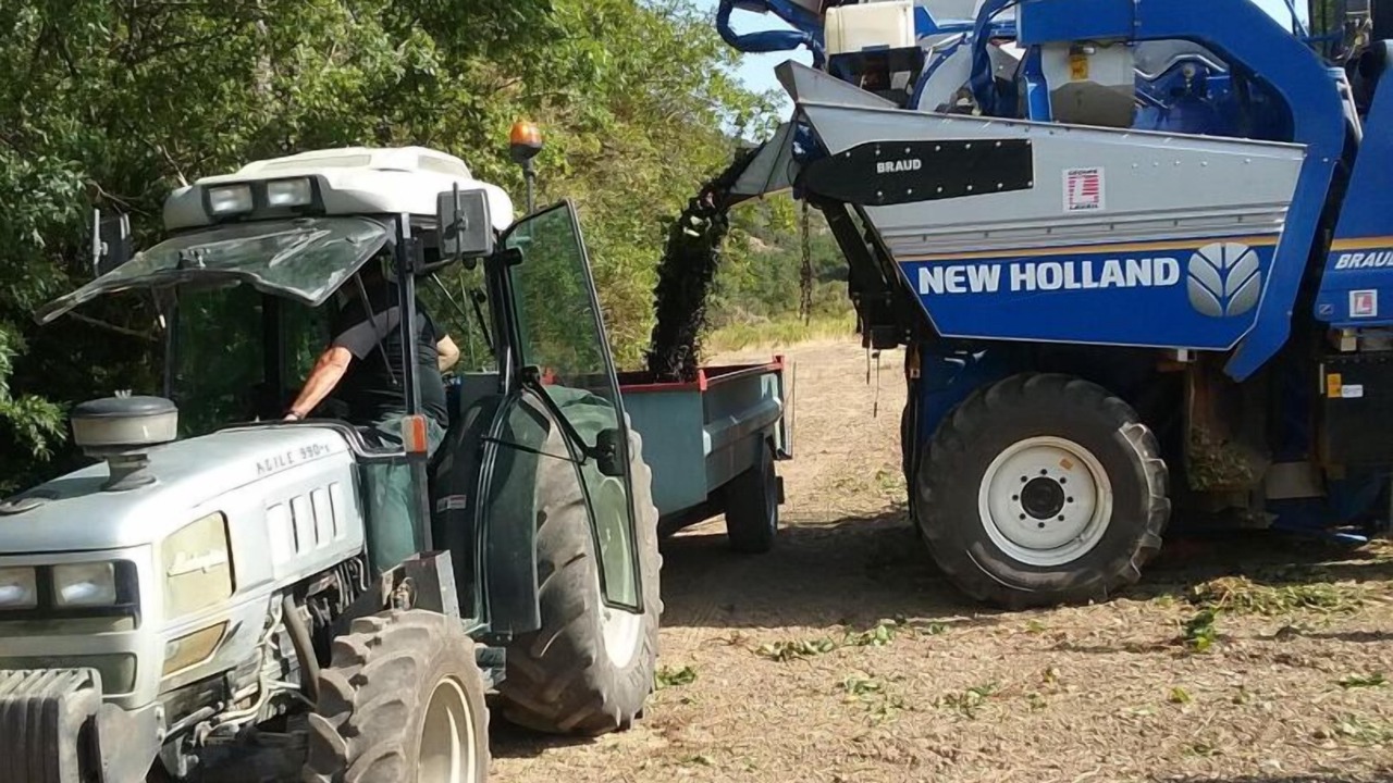 Photo of Others in Montgaillard