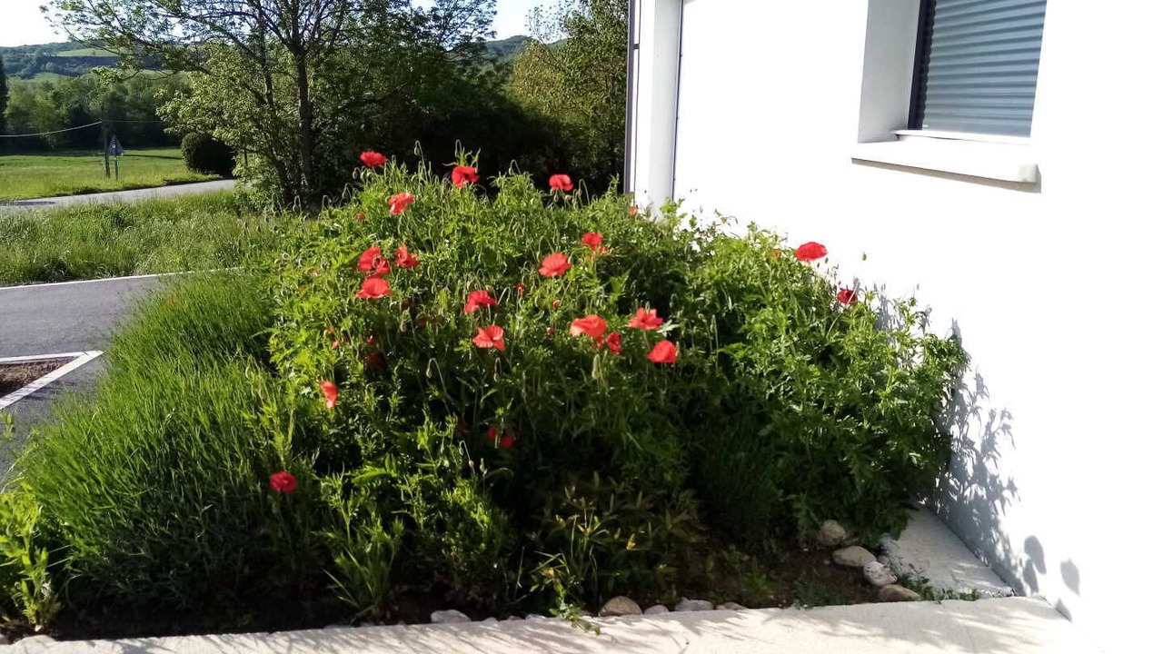 Photo of Outdoor in Sonnac-sur-l'Hers