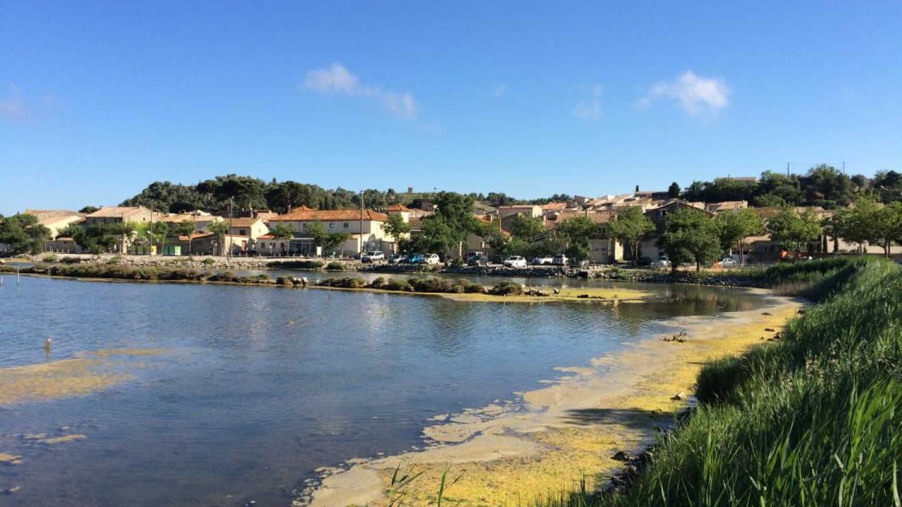 Photo of Others in Peyriac-de-Mer