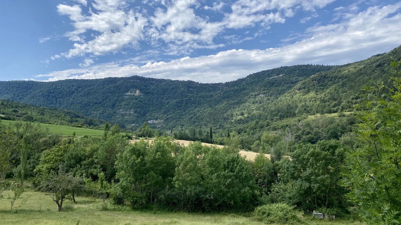 Photo of Others in Greffeil