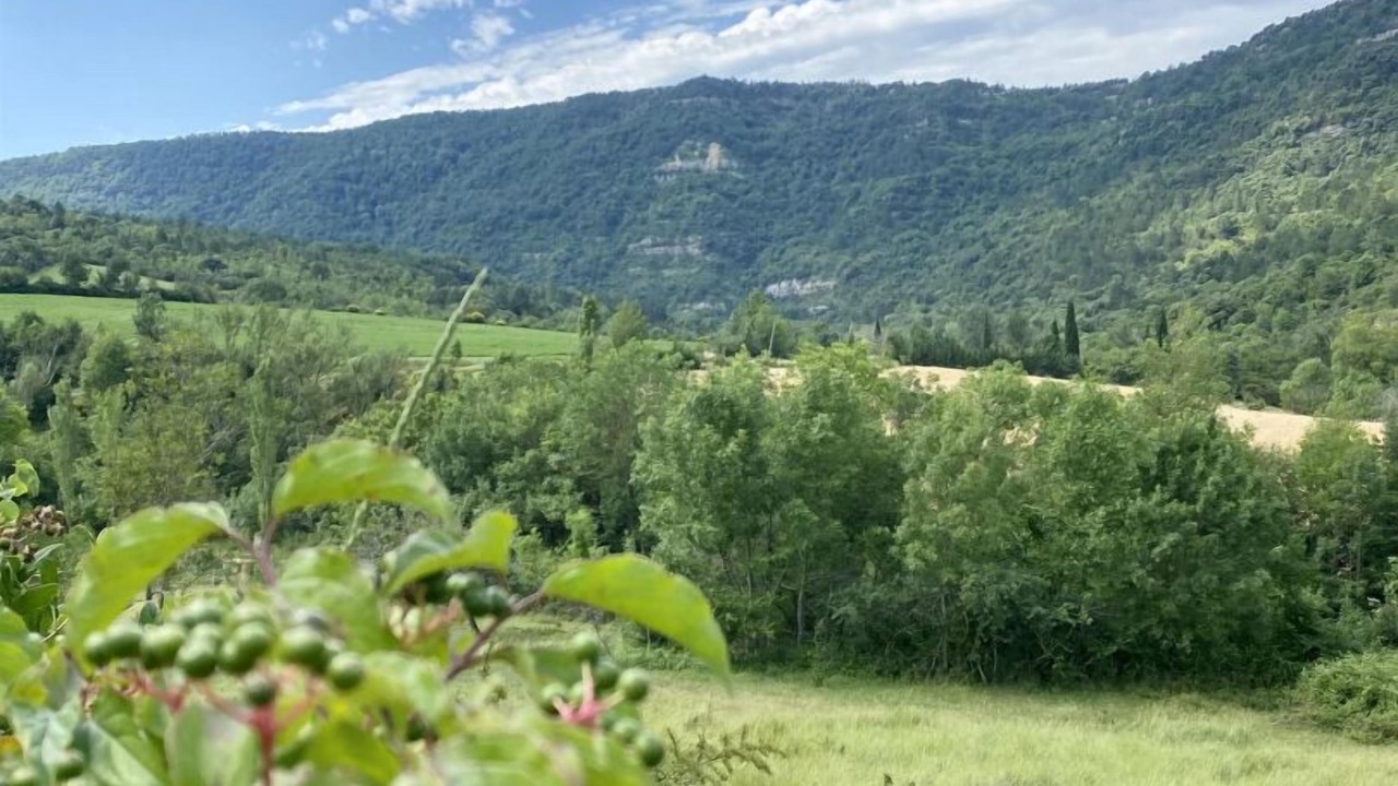 Photo of Others in Greffeil