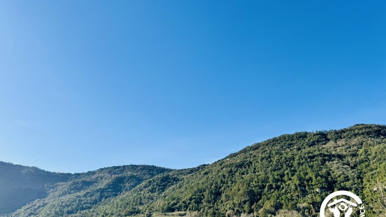 Photo of Others in Greffeil