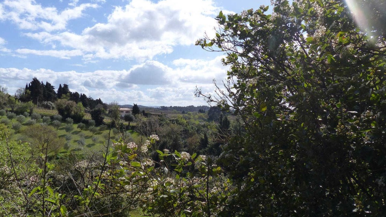 Photo of Others in Carcassonne