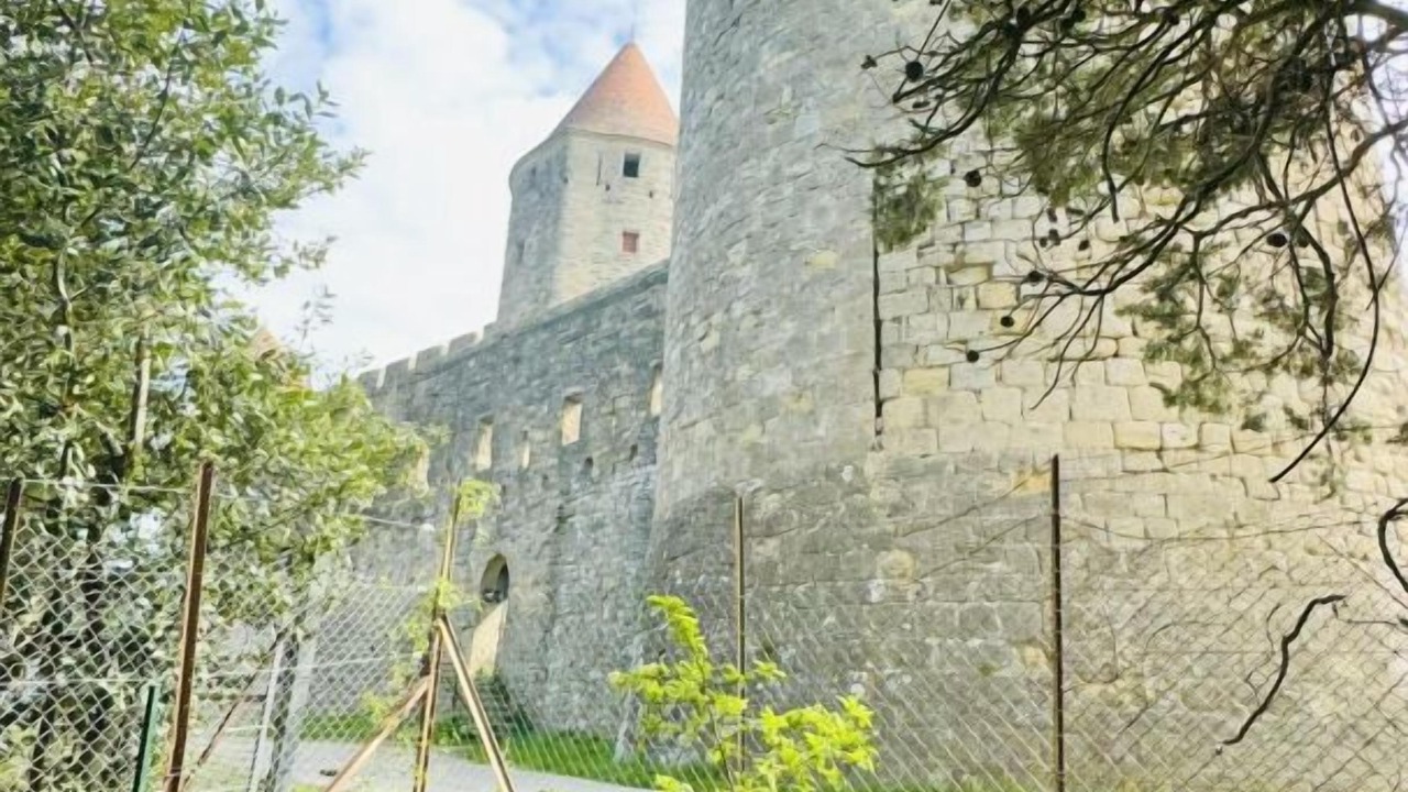 Photo of Others in Carcassonne
