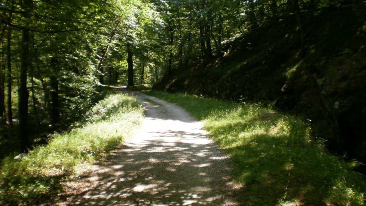 Photo of Others in Lacombe