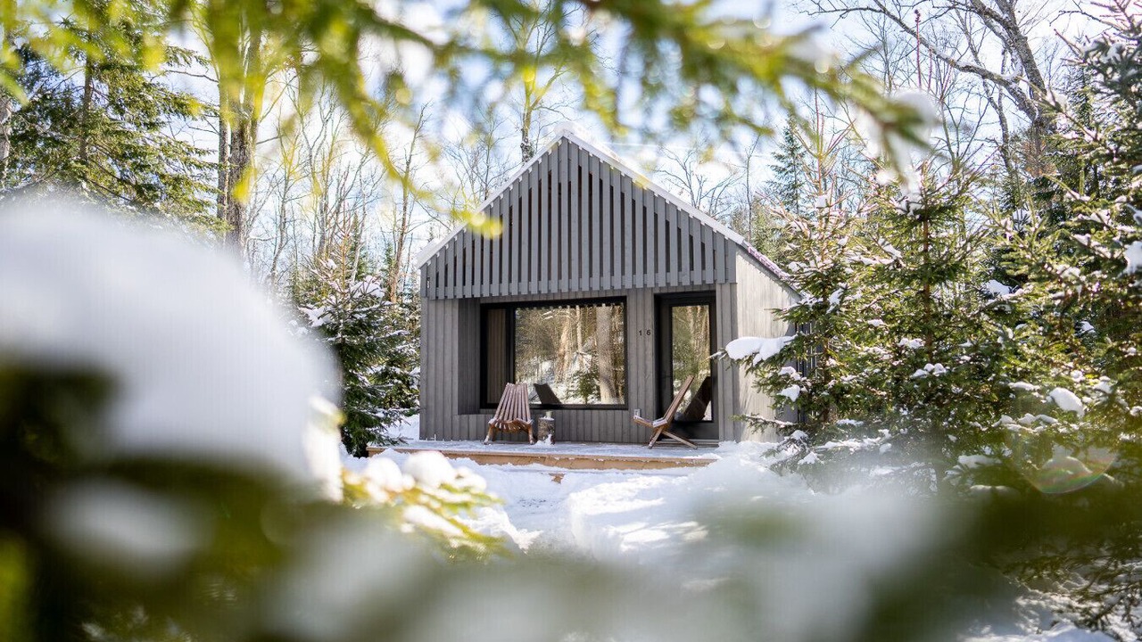 Photo of Outdoor in Algonquin Highlands