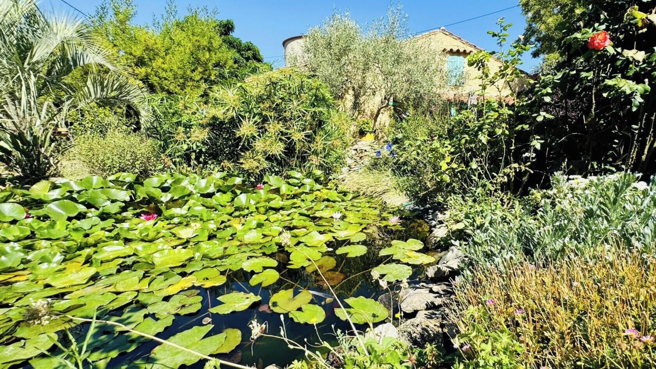 Photo of Outdoor in Azille