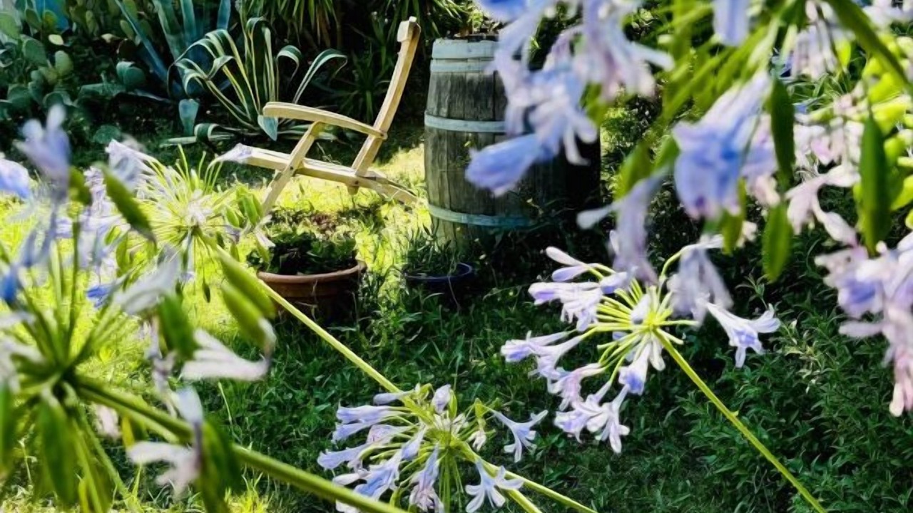 Photo of Outdoor in Azille