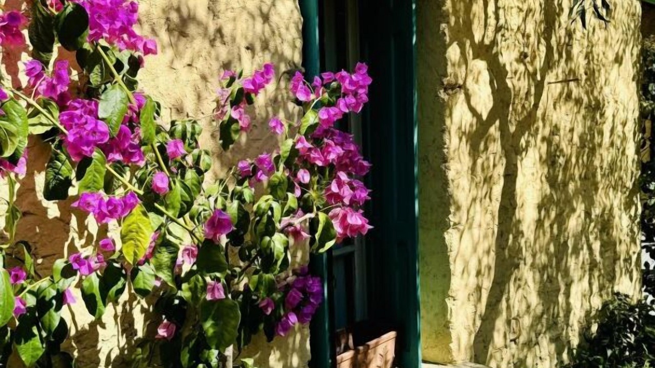 Photo of Outdoor in Azille