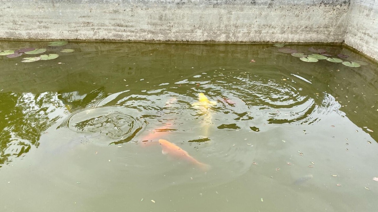 Photo of Others in Ricaud