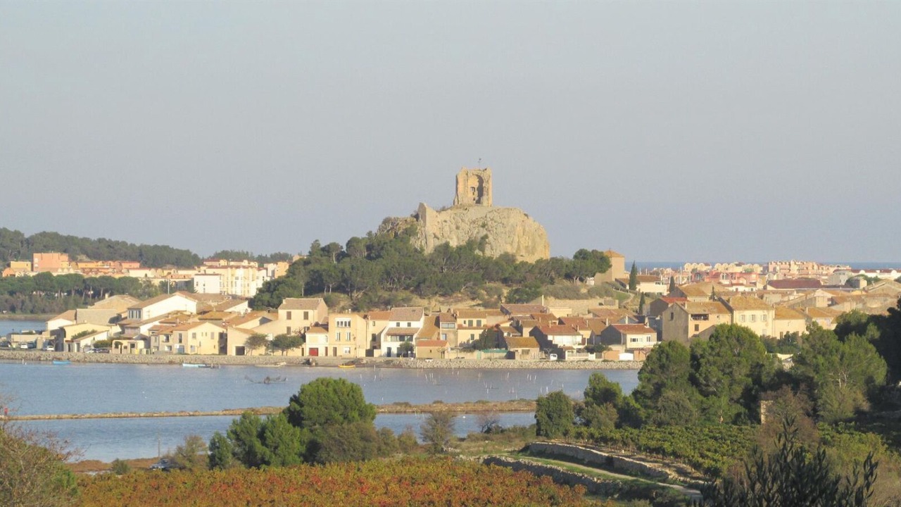 Photo of Others in Narbonne