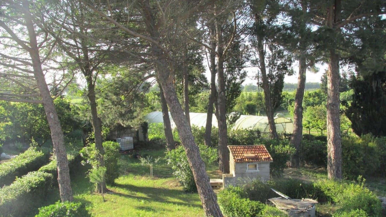 Photo of Outdoor in Narbonne