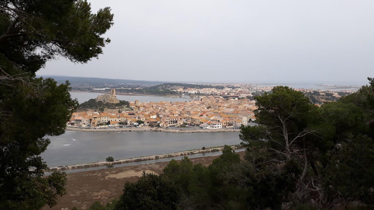 Photo of Others in Narbonne