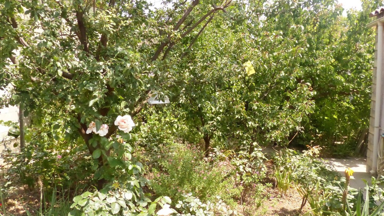 Photo of Outdoor in Camplong-d'Aude