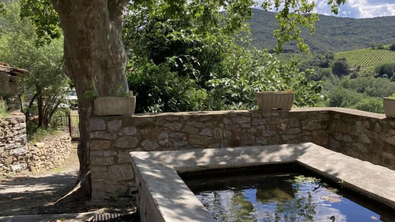 Photo of Outdoor in Quintillan